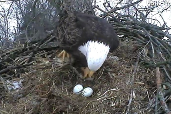 ScreenHunter_56 Feb. 21 11.29.jpg